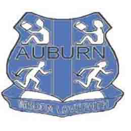 Auburn Public School
