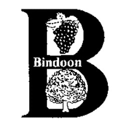 Bindoon Primary School