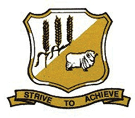 Binnu Primary School