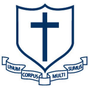 Braemar College