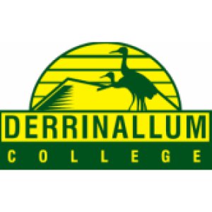 Derrinallum P-12 College school logo