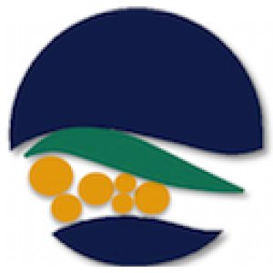 Doncaster Gardens Primary School
