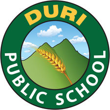 Duri Public School