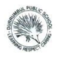 Durrumbul Public School