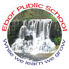 Ebor Public School