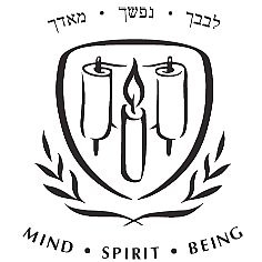 Emanuel School school logo