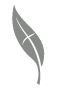 Kalamunda Christian School school logo