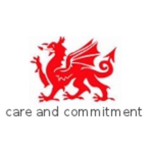 Menai High School school logo