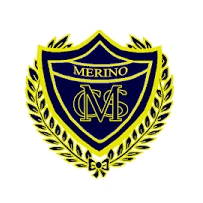 Merino Consolidated School