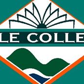 Sale College