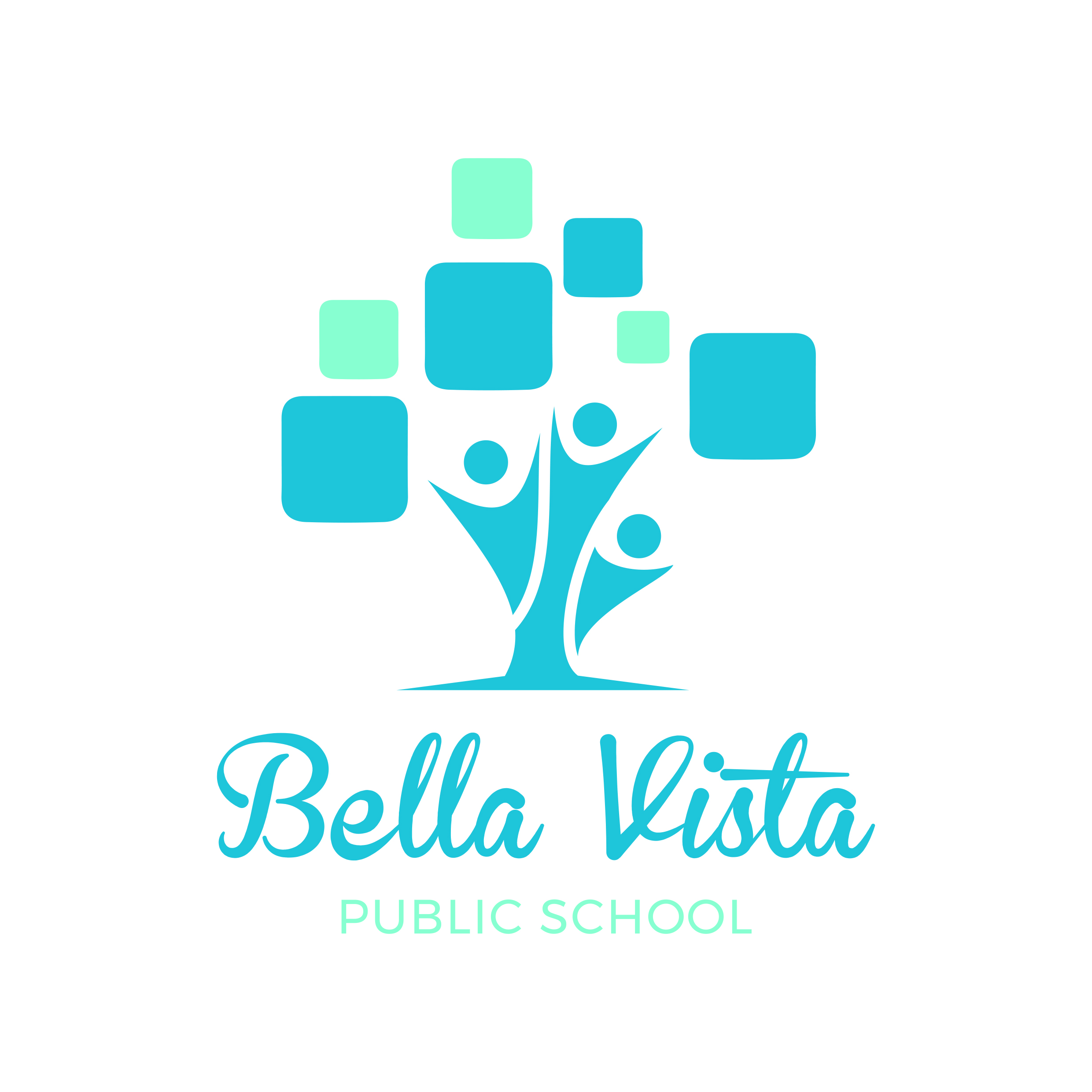 Bella Vista Public School
