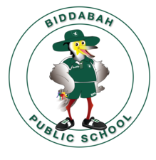 Biddabah Public School