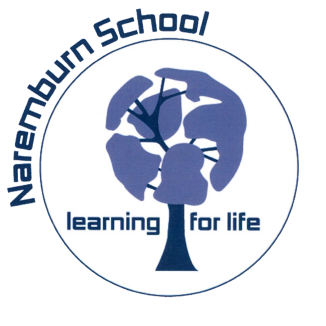 Naremburn School