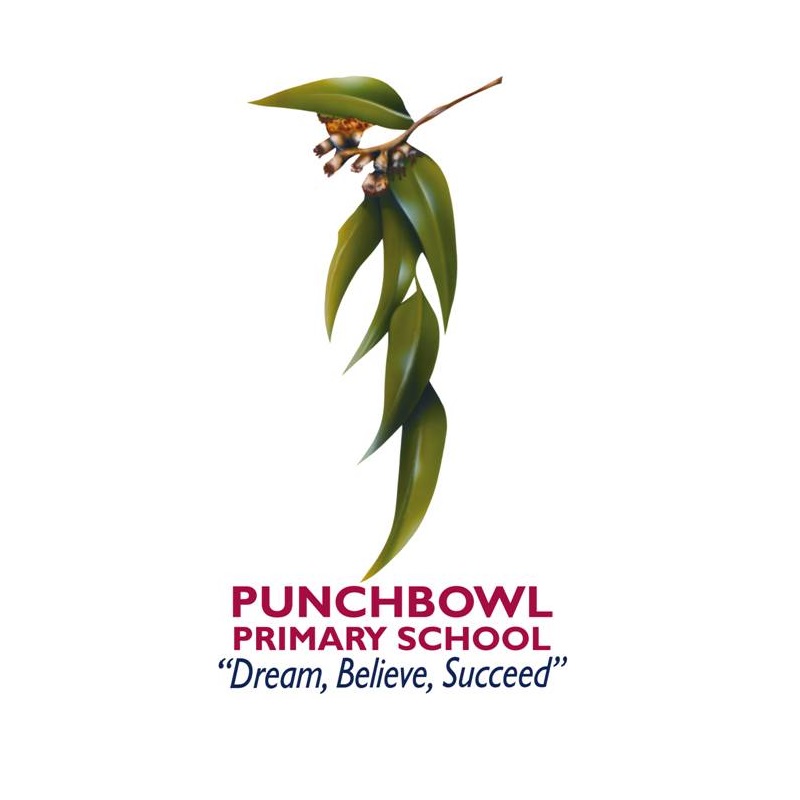 Punchbowl Primary School