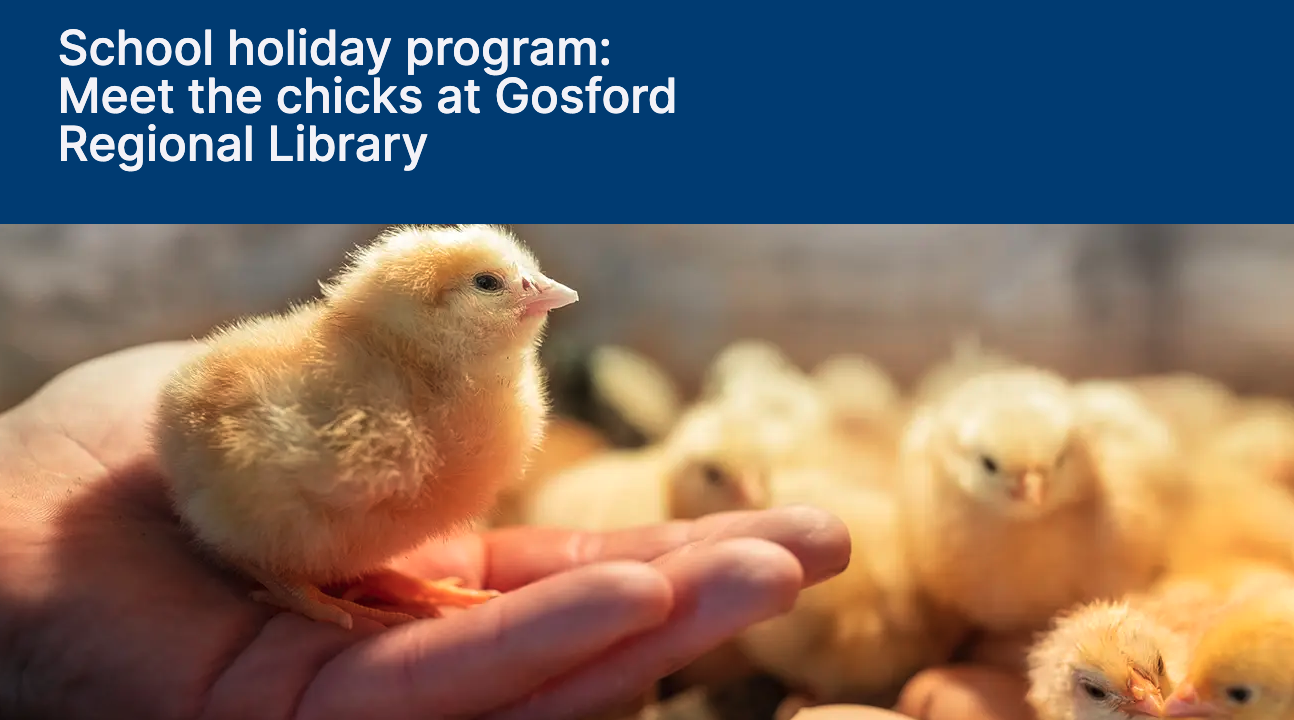 School holiday program: Meet the chicks at Gosford Regional Library - Image 1