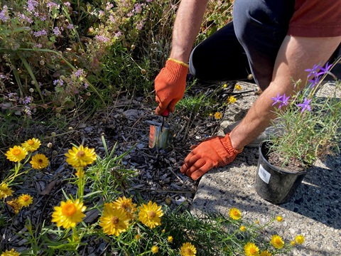 Keon Park Children's Hub Monthly Drop-in Gardening Group